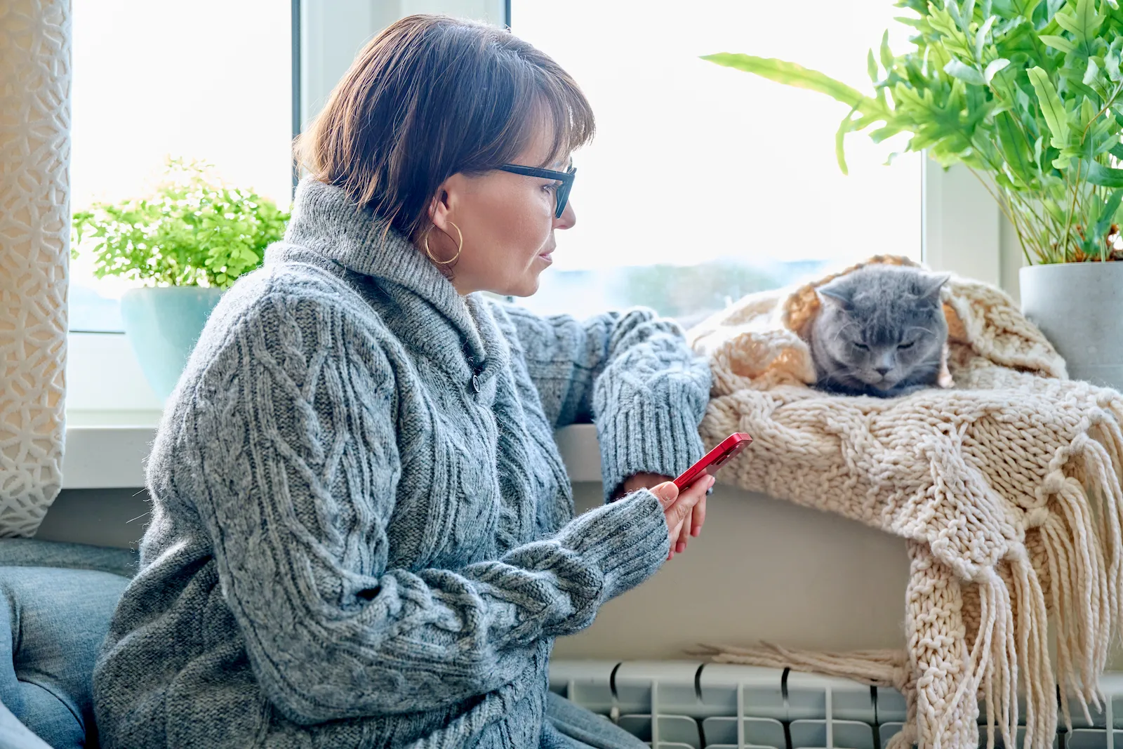 Mascota senior en una escena tranquila como apoyo visual para conducta, orientación y sueño