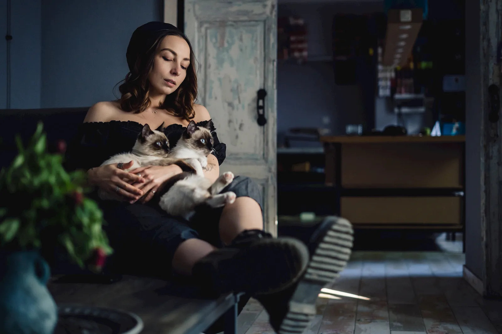 Mascota senior en una escena tranquila como apoyo visual para entorno y noche